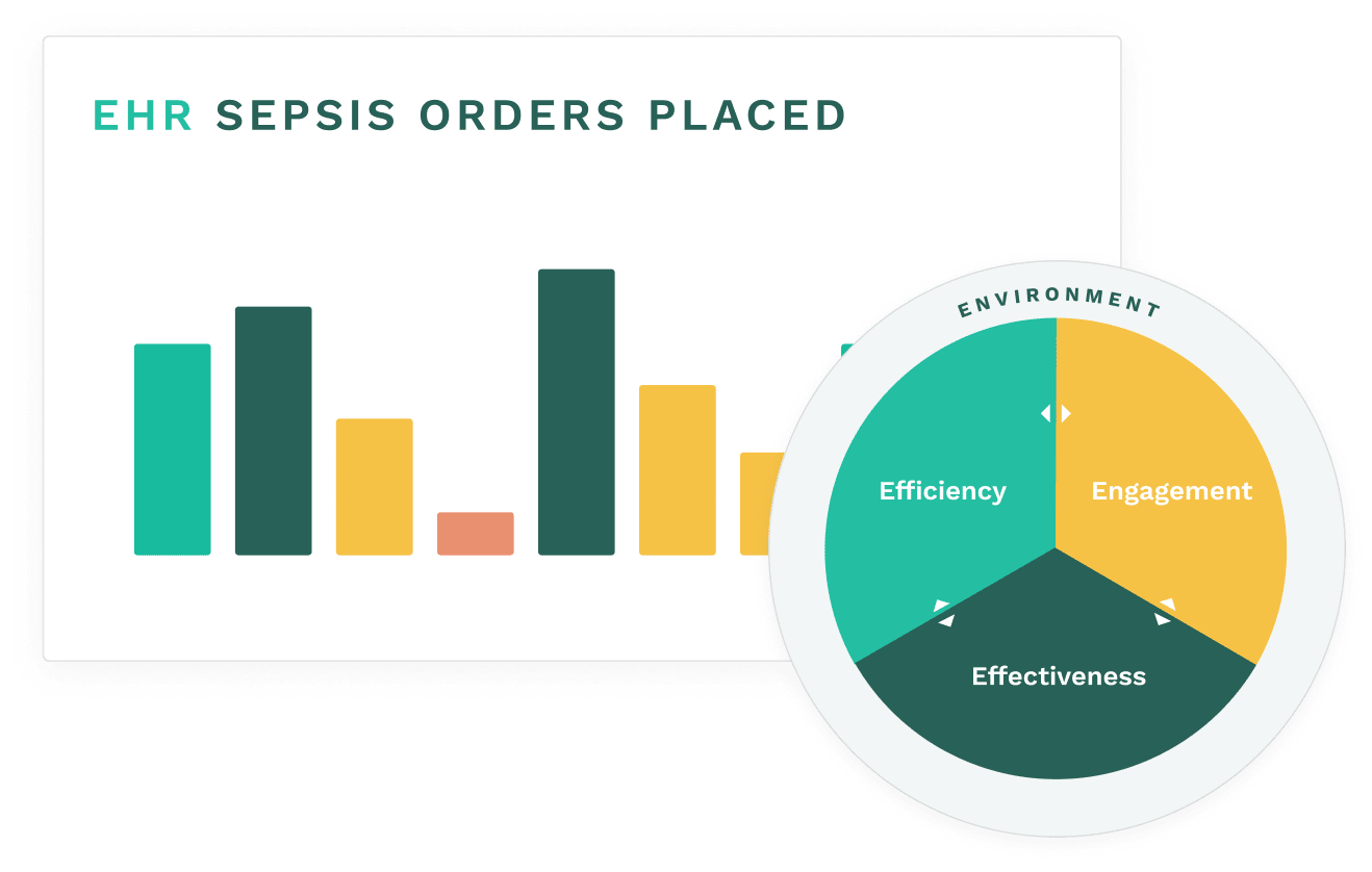 Benchmarking Pie Visualization